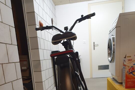 Specialized vorne.jpg